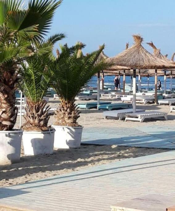 Alezzy Beach Apartament Prima Linie La Mare Năvodari Eksteriør bilde