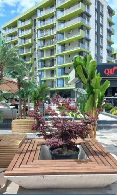 Alezzy Beach Apartament Prima Linie La Mare Năvodari Eksteriør bilde